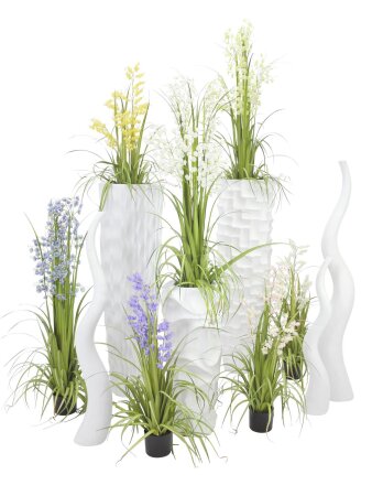 Blumen / Blüten